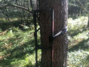 tree-stand