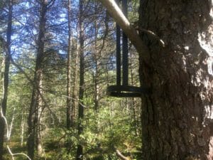 tree-stand