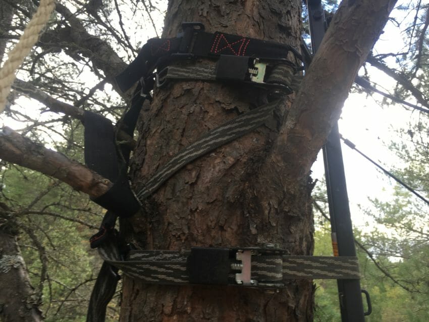 tree-stand