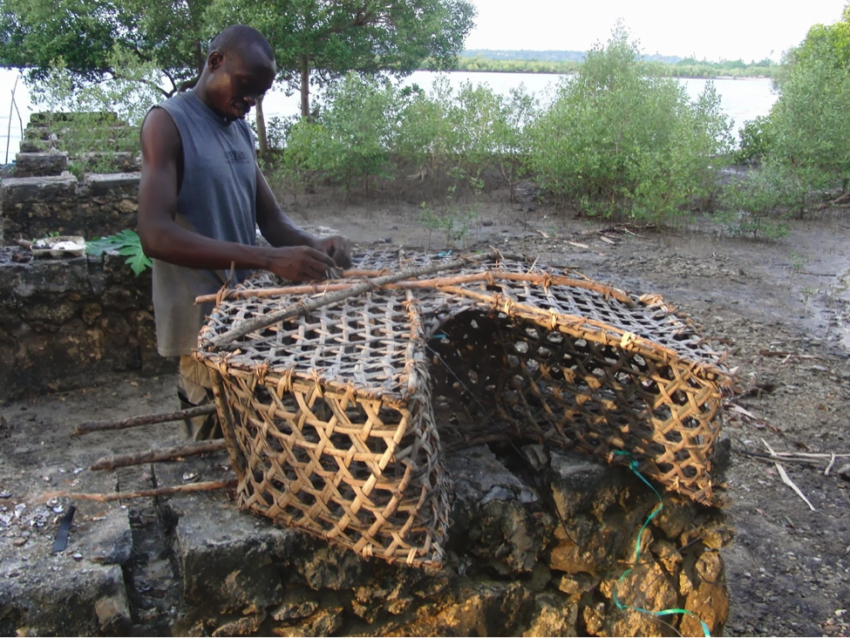 cage fish trap