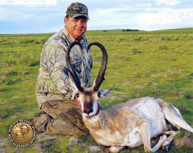 record pronghorn