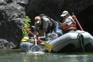 gold medal fishing