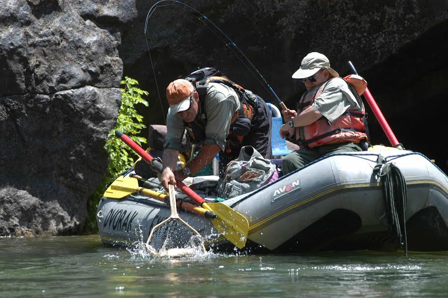 trout fishing