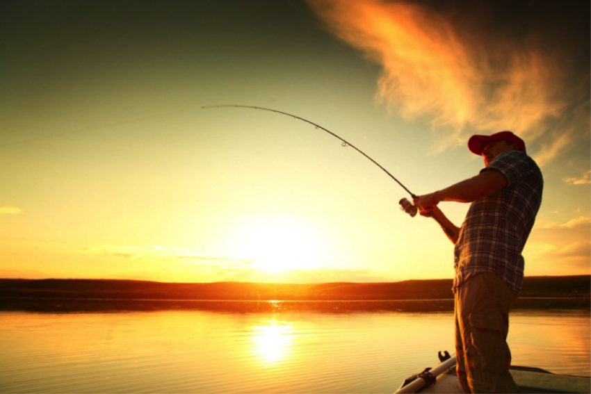 fishing in the summer