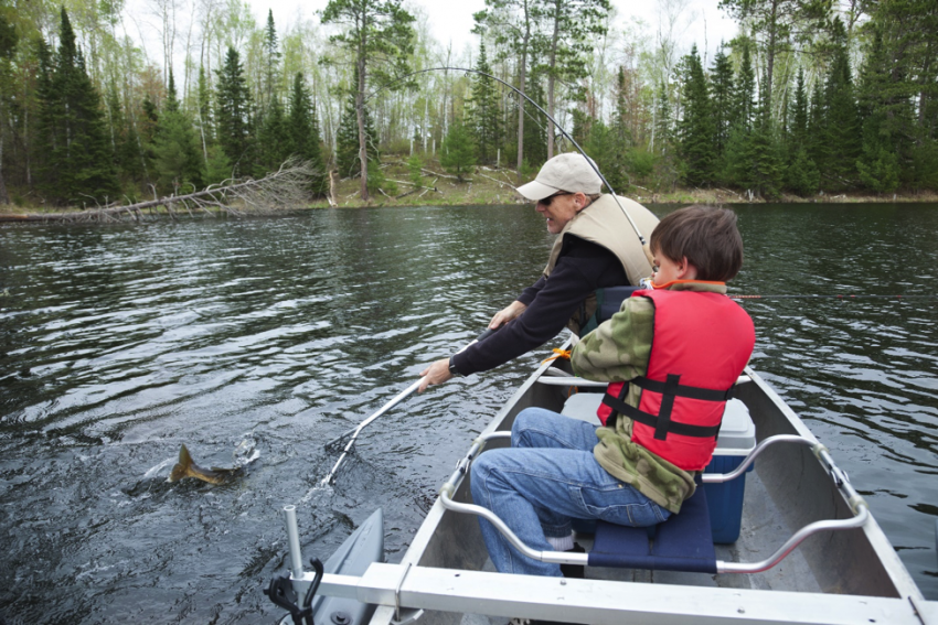 catch walleye