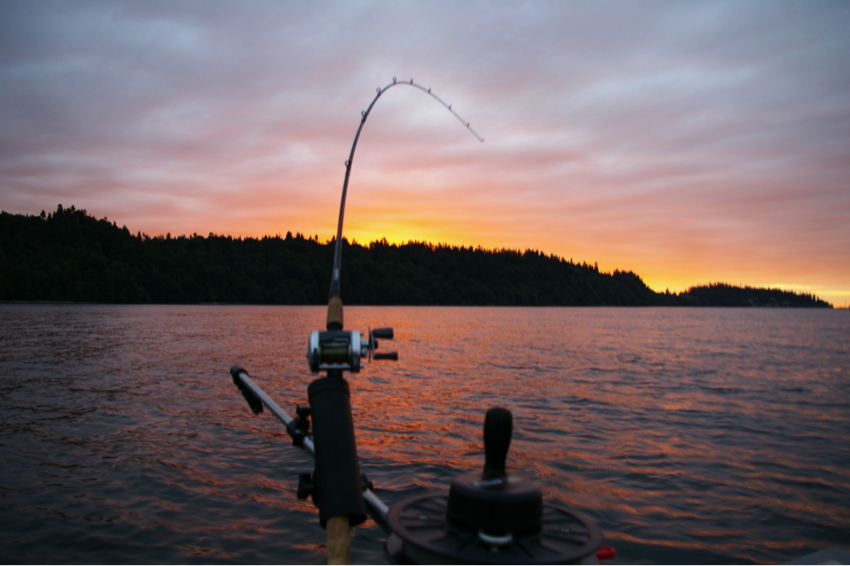 catch walleye