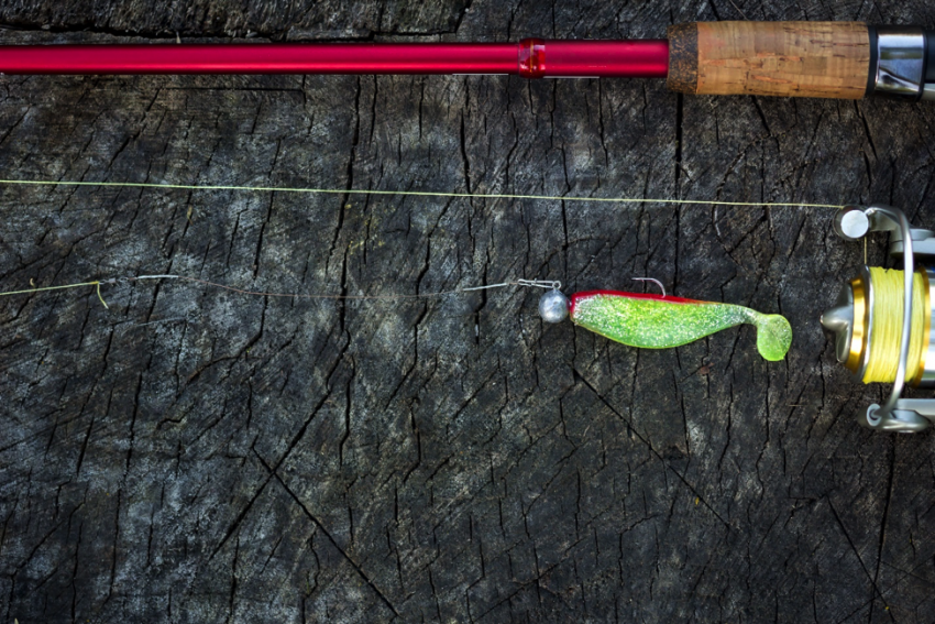 catch walleye