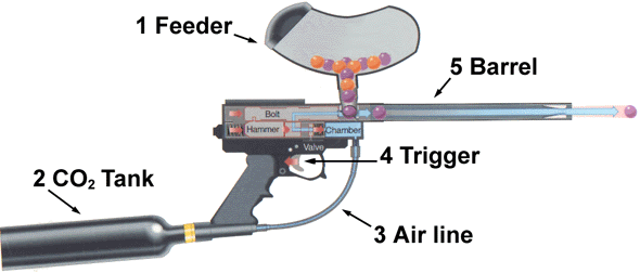 paintball gun