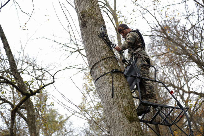 treestand