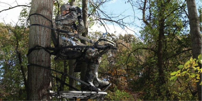 treestand