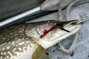 best lures for northern pike