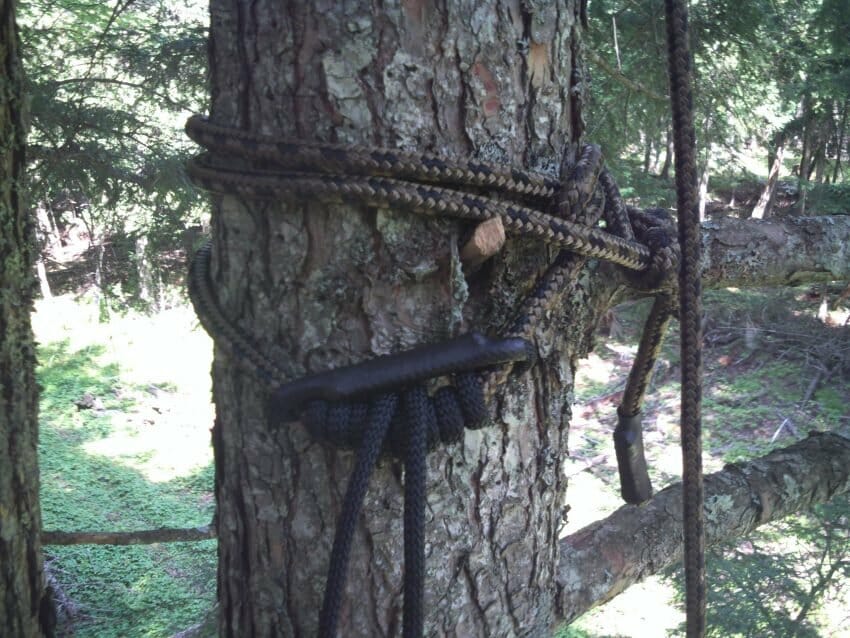 tree-stand safety