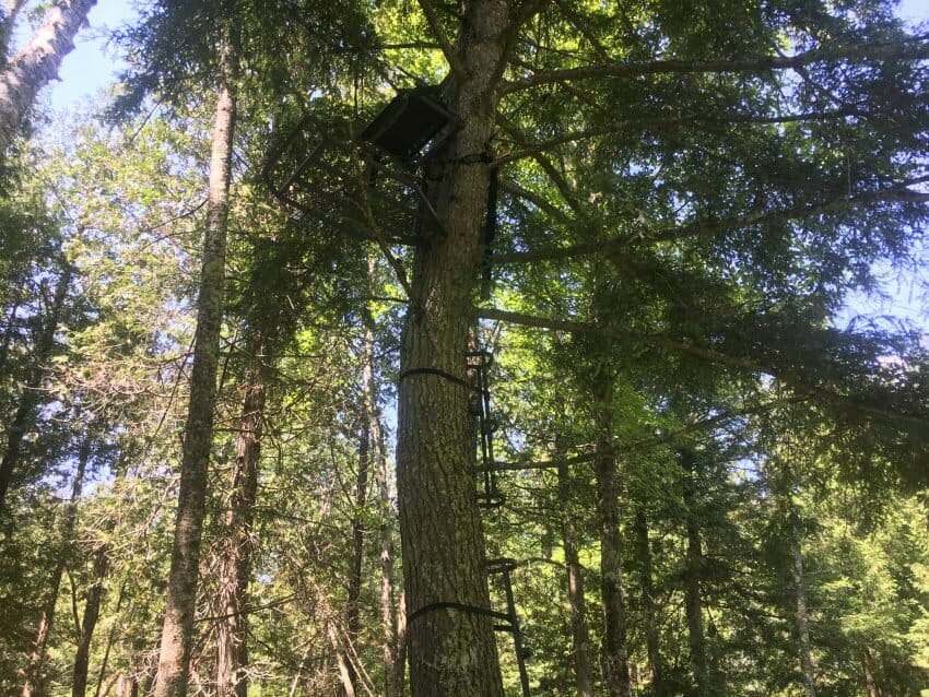 tree-stand safety