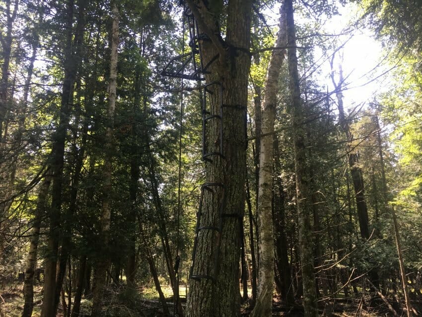 tree-stand safety