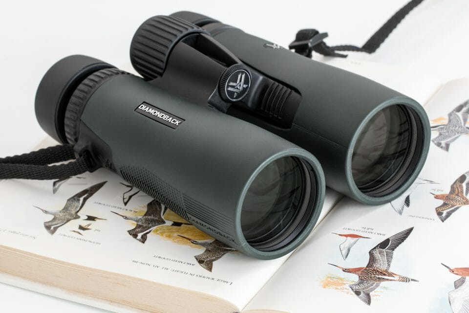 best hunting binoculars