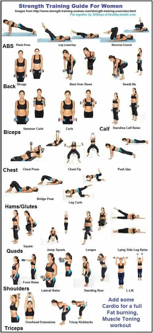 Image result for Complete Beginner's Guide to Strength Training