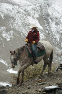 horseback hunting