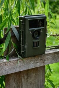 Best Trail Cameras