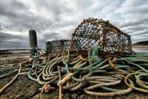 Crabbing Season