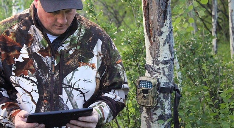 using a trailcamera