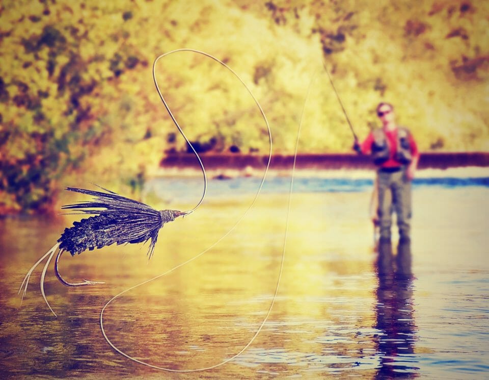 Fly Fishing Leaders