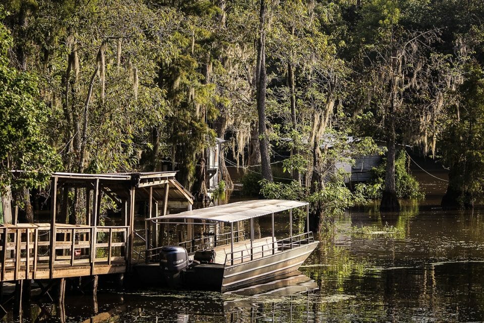 New Orleans Swamp Tours