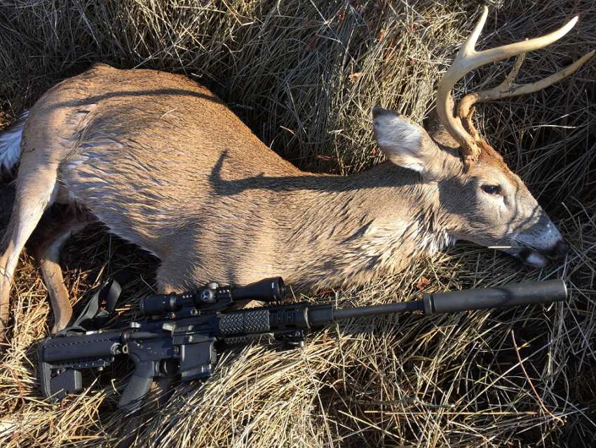 Field Dressing Your Deer
