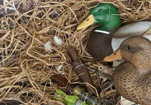 Decoys for Duck Hunting