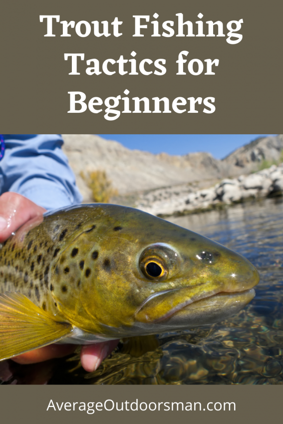 Beginner Trout Tips