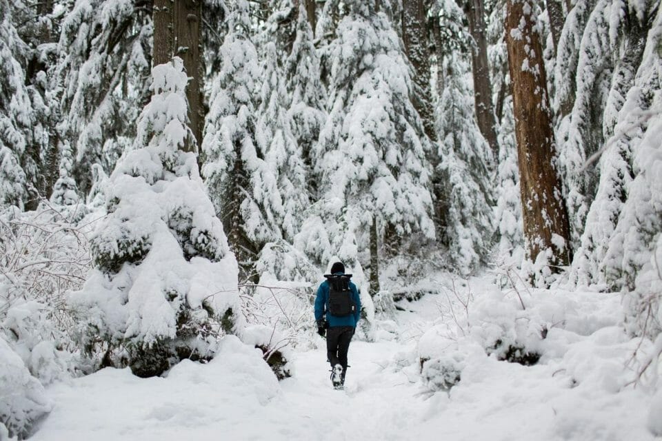 Hiking Essentials