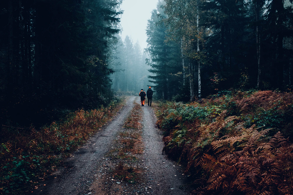 Hunting White Tailed Deer in the Rain