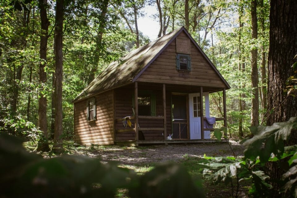 brown wooden house near trees during daytime