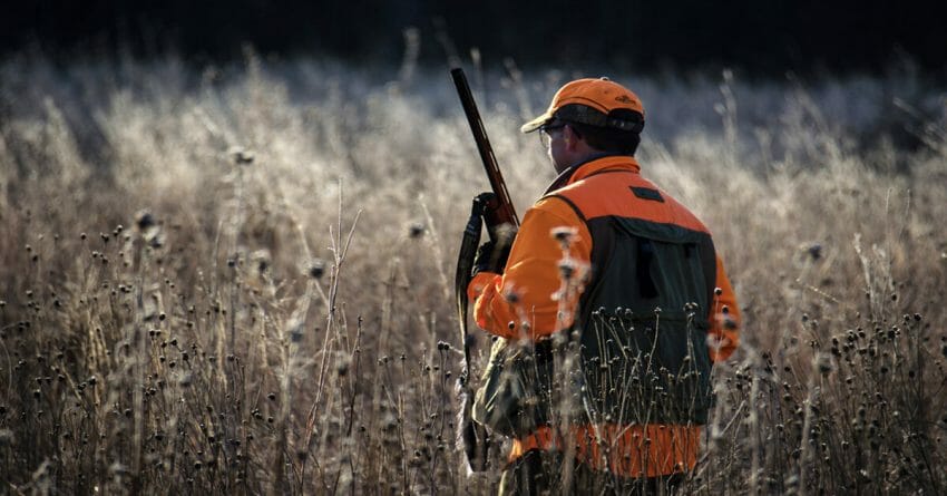 Carry Firearms Safely During Hunting Season. 1 Carry Firearms Safely During Hunting Season. Carry Firearms Safely Hunting