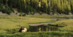 Public vs. Private Land Hunting