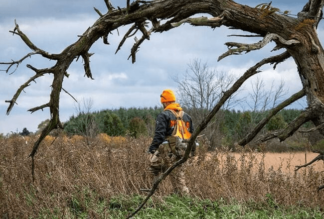 Guide to Hunting Gear